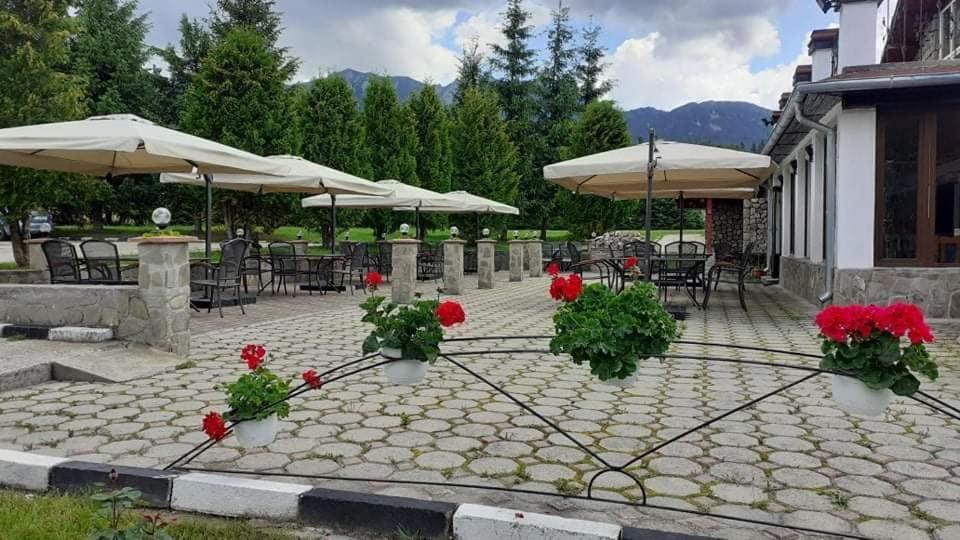 Hotel Cheia Кея Екстериор снимка